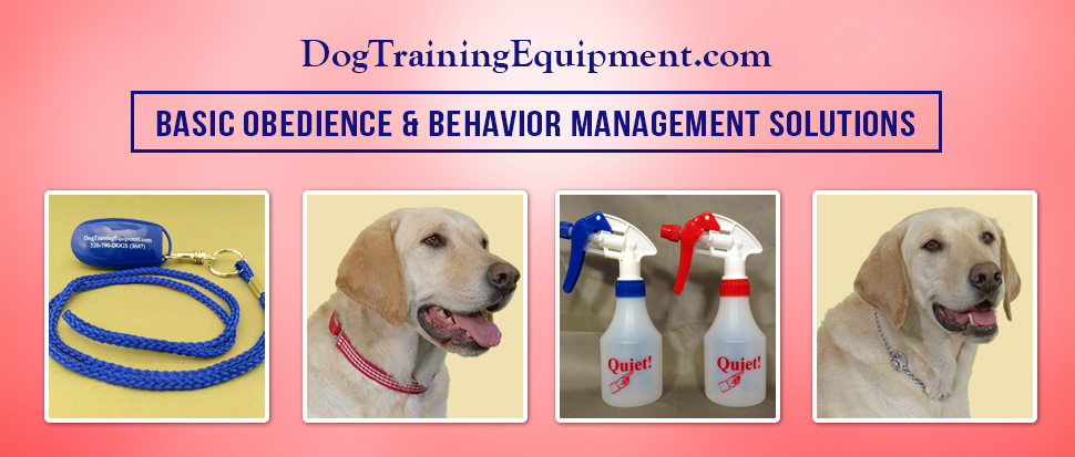 Dog Training Equipment | Dog Obedience Training Equipment